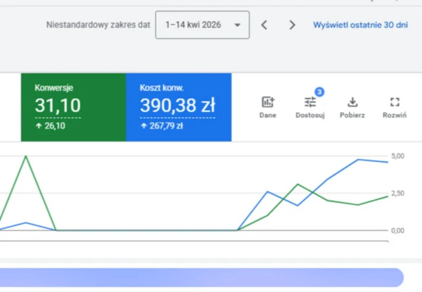 Panel Google Ads przed przejęciem konta — koszt konwersji 390,38 zł